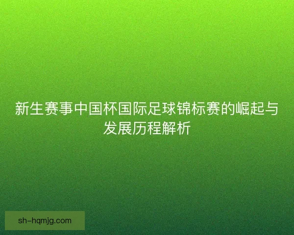 新生赛事中国杯国际足球锦标赛的崛起与发展历程解析