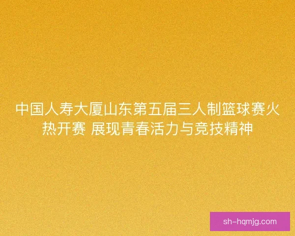 中国人寿大厦山东第五届三人制篮球赛火热开赛 展现青春活力与竞技精神