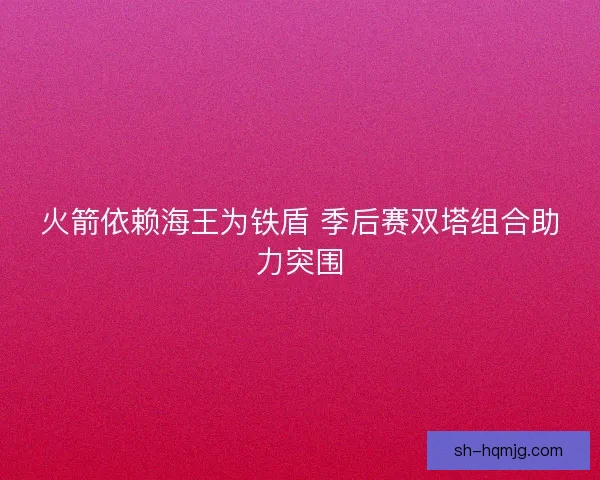火箭依赖海王为铁盾 季后赛双塔组合助力突围